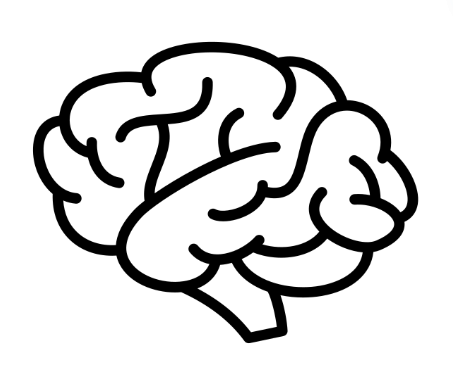 Graphic outline of a brain